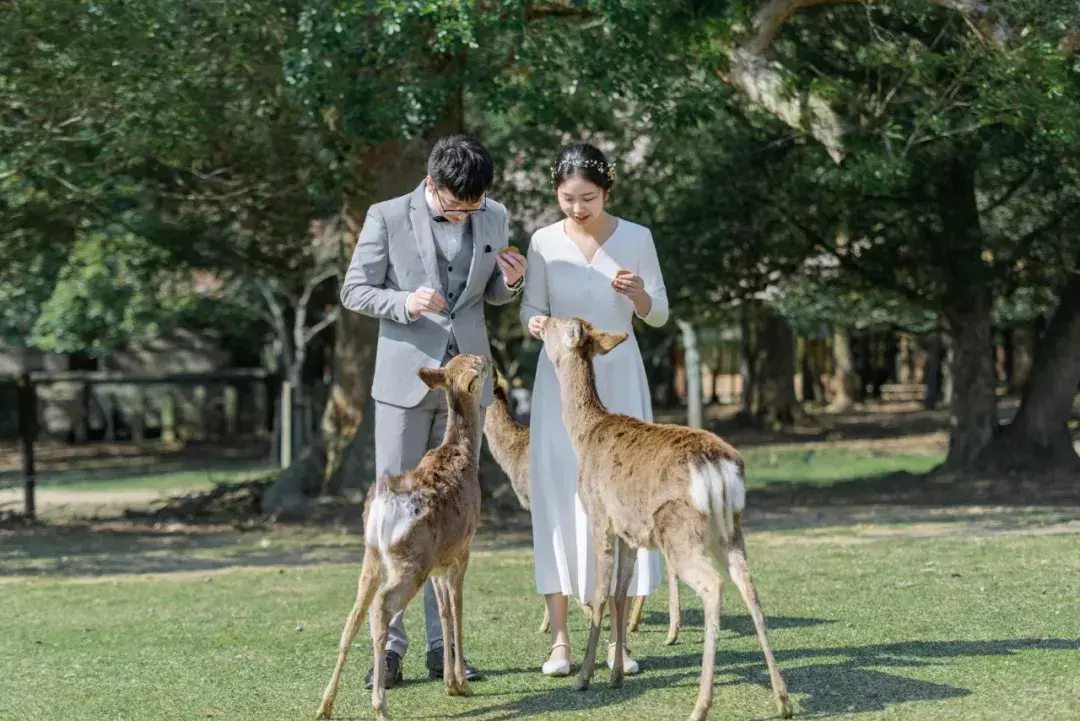 冰岛婚纱照跟拍图片高清_冰岛婚纱照多少钱_婚纱高清冰岛照拍图片大全