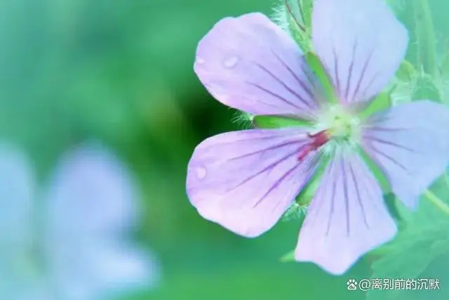 中年夫妻之间怎样相处_中年夫妻如何相处更幸福_中年夫妻之间应该如何相处